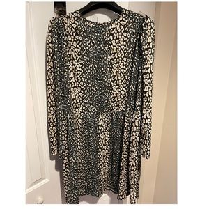 Zara Leopard-print Dress
